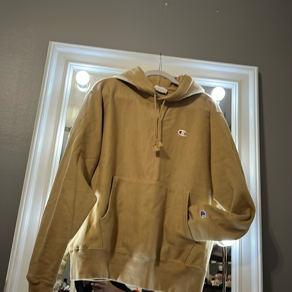 champion sweatshirt / hoodie